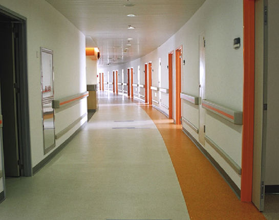 Handrail / Wall guard