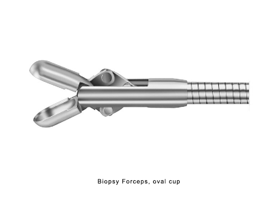 Biopsy Forceps, oval cup for Hysteroscopy