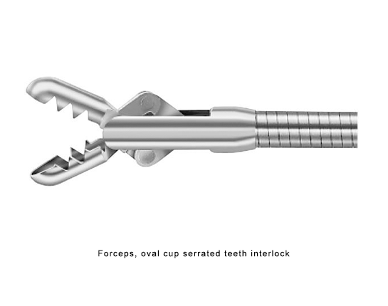 Forceps, oval cup serrated teeth interlock for Hysteroscopy